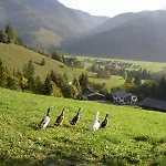 Obertenn *