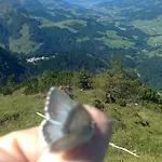 Obertenn Gospodarstwo wiejskie
