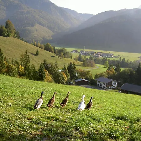 Obertenn *